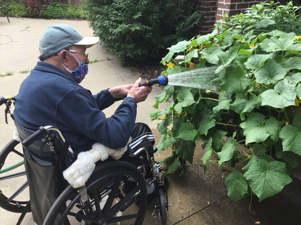 older man watering flowers