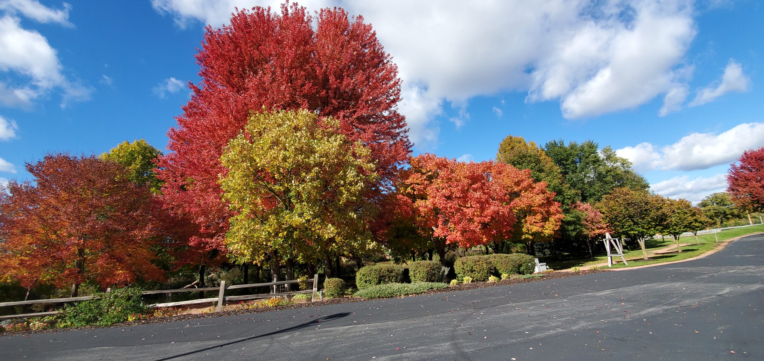 20231020_140004 Three Pillars Senior Living Fall