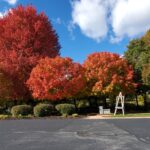 Three Pillars Senior Living Fall