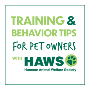 HAWS EVENT HAWS EVENT