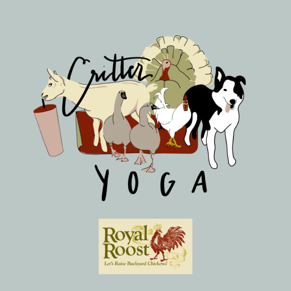 Royal Roost event pic