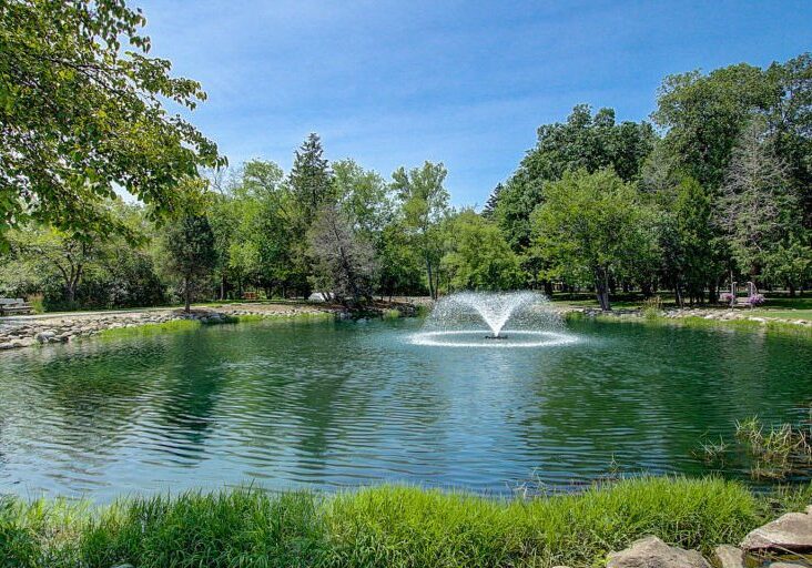 Image of pond with water fountain on Three Pillars property.