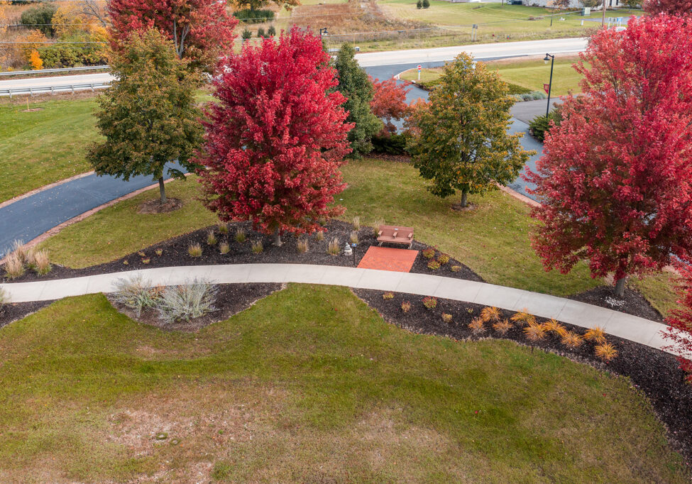 Tribute Path red trees_dronenew