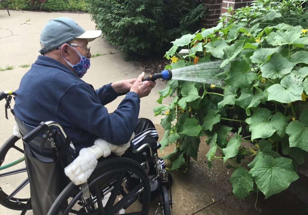 older man watering flowers