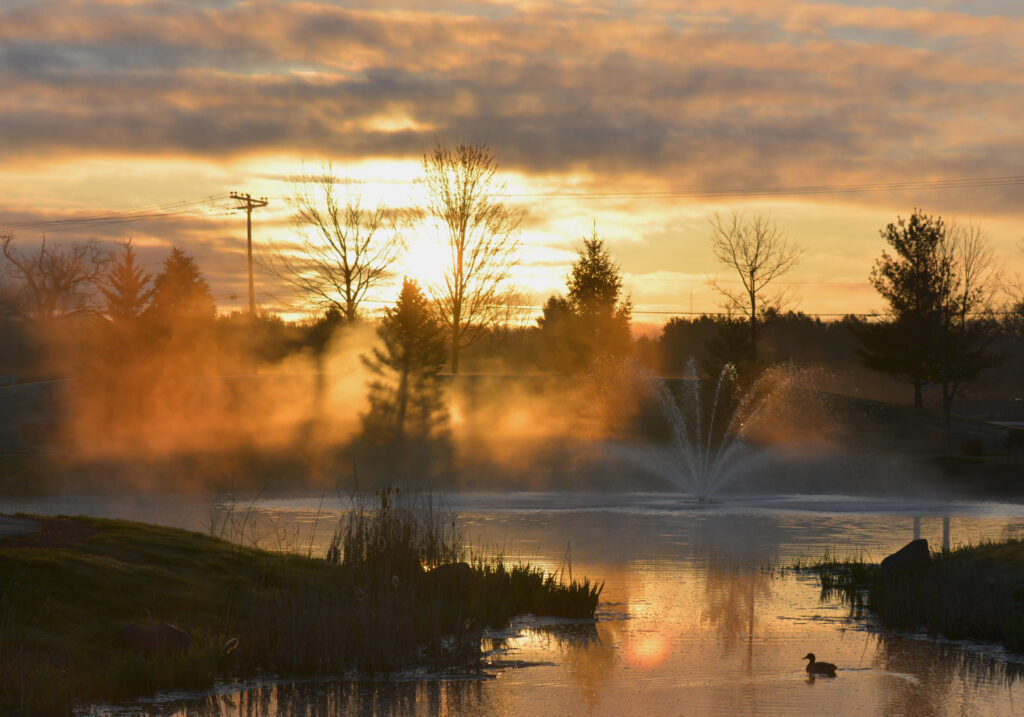 foggy-sunrise-CP-Pond_Virgil-2021