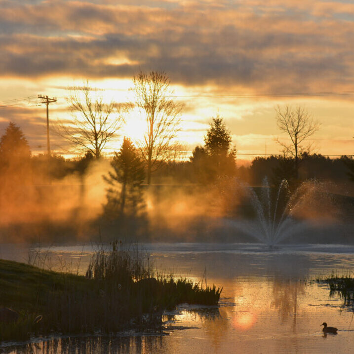 foggy-sunrise-CP-Pond_Virgil-2021